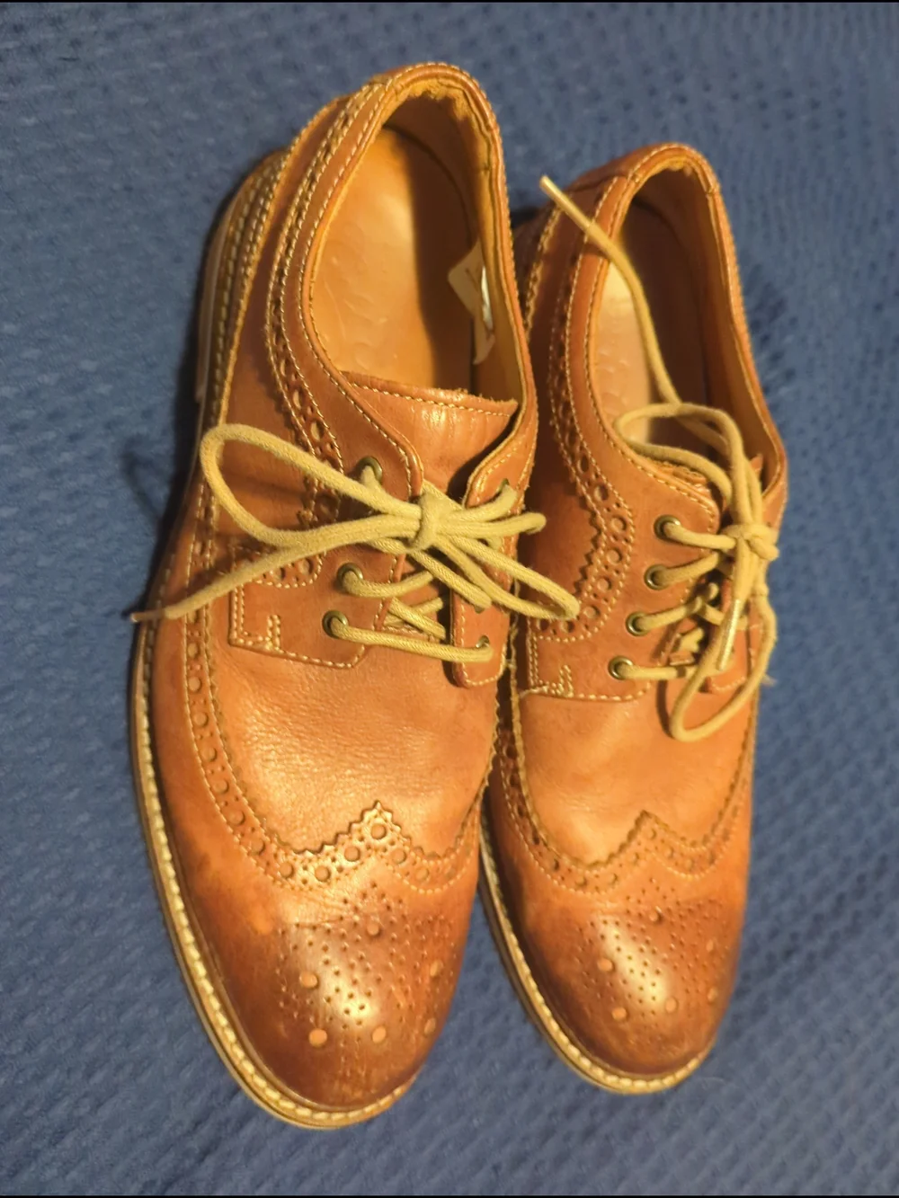 Sperry Men's Brown Gold Cup Leather Wingtip Derby Oxfords